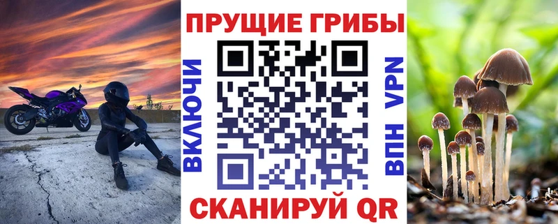 Галлюциногенные грибы GOLDEN TEACHER  Александровск 